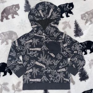 🦖4T Boys Hoodie🦖